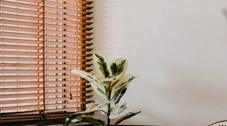 dinning room with bamboo furnitures
